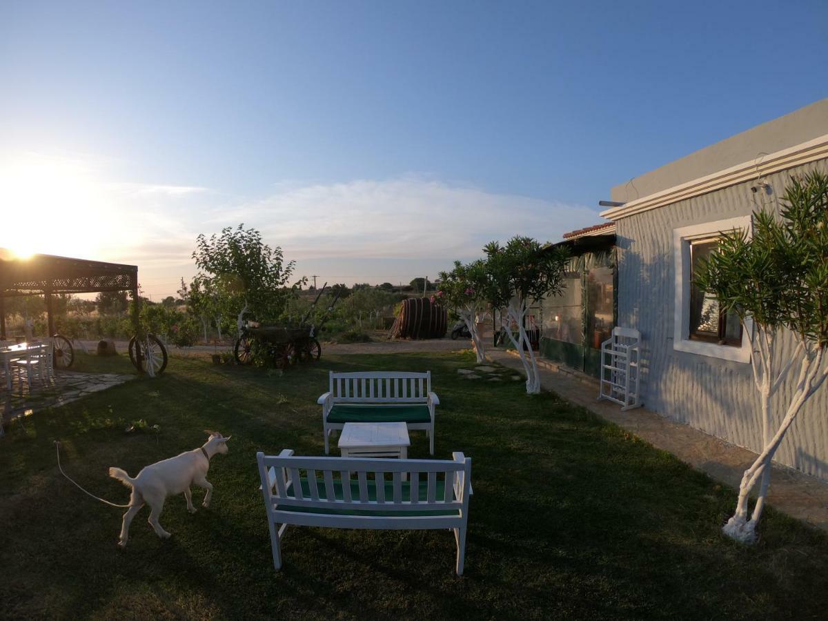 Bagban Bozcaada Bed and Breakfast Exteriör bild